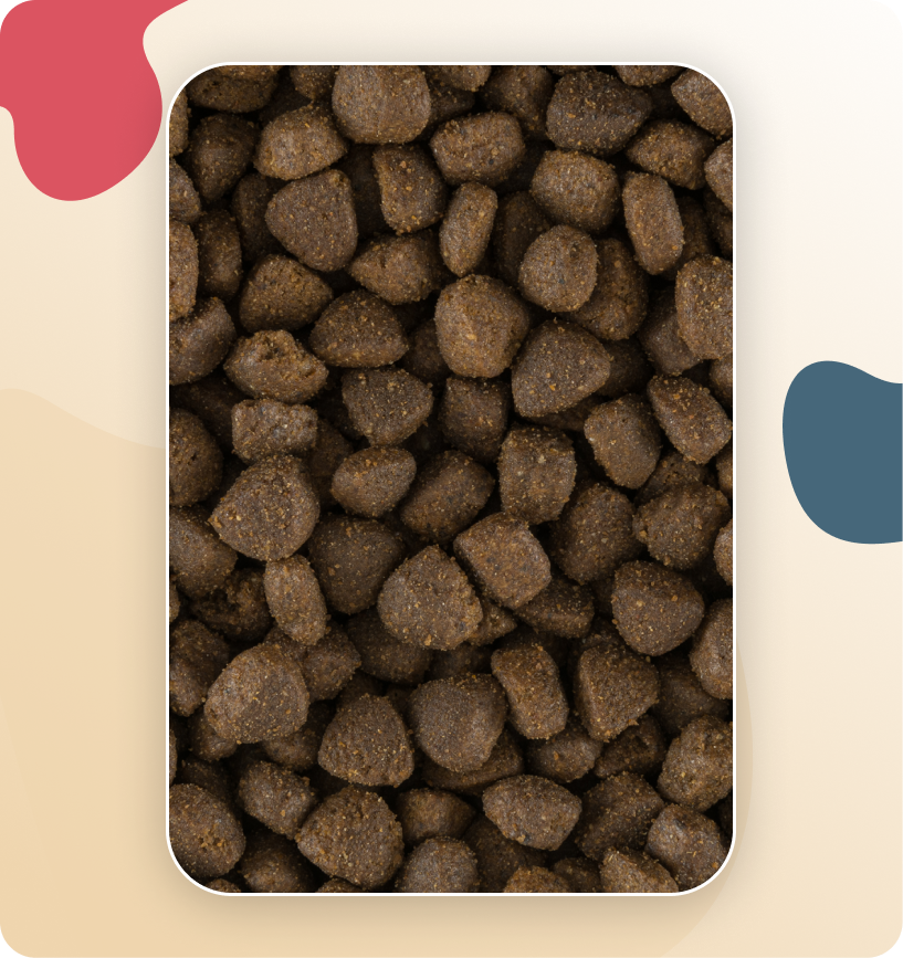 Iso-Dog ADULT Crackers Large & Giant