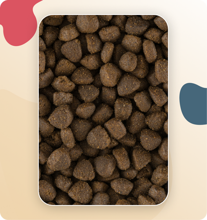 Iso-Dog ADULT Crackers Large & Giant