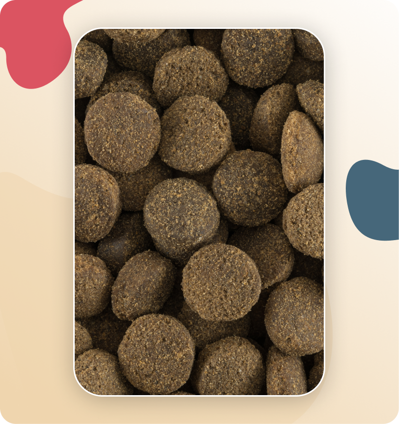 Iso-Dog Adult Sensitive Lamm & Rice Large & Giant 20KG