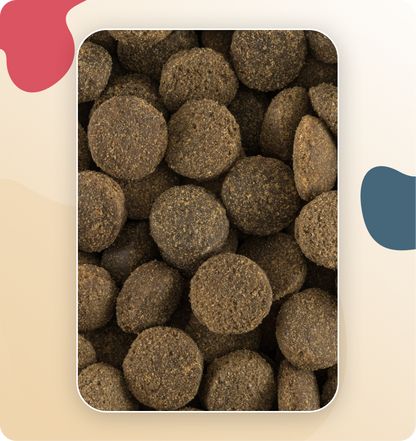 Iso-Dog Adult Sensitive Lamm & Rice Large & Giant 20KG