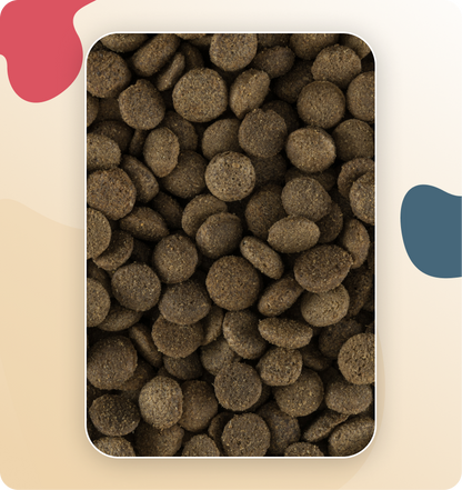 Iso-Dog Adult Sensitive Lamb & Rice Mini Breeds 3 KG